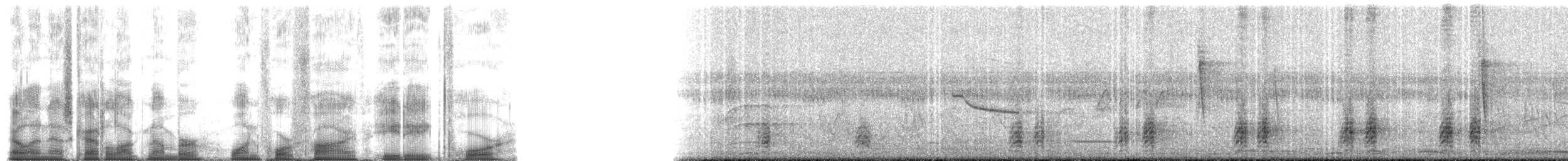 Troglodyte à nuque rousse (groupe capistratus) - ML145884