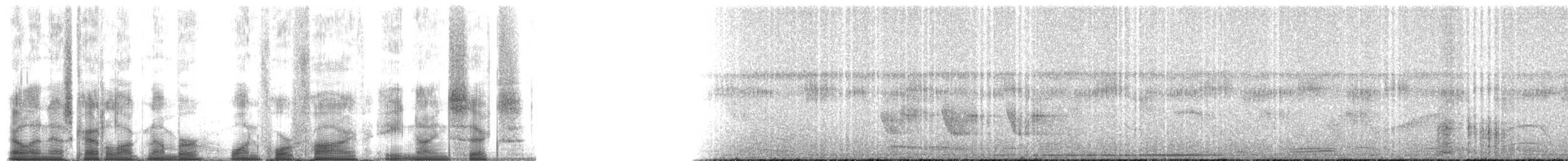 ekorngjøk (thermophila) - ML145896