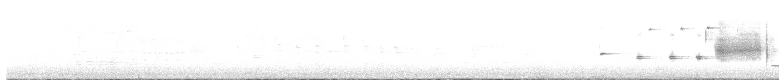 Song Sparrow - ML145911891