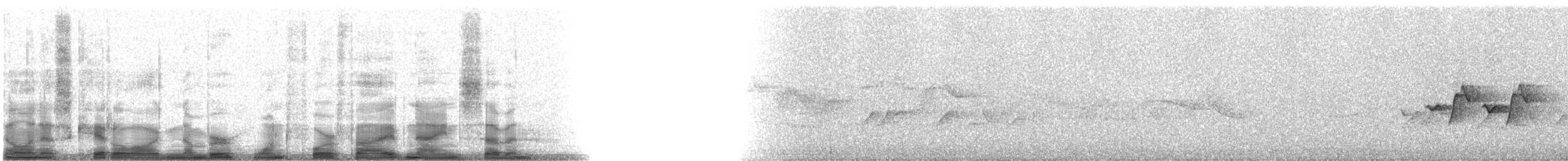 Green-crowned Warbler - ML14597