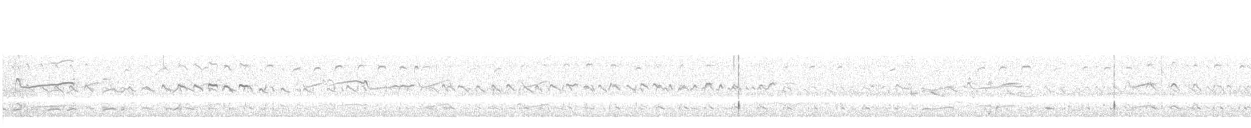Kildir txirritxoa - ML145972531