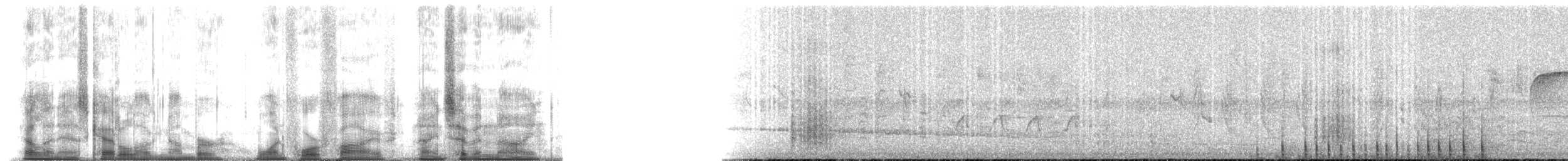 Гіла чорновола [група formicivorus] - ML145979