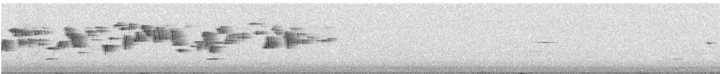Troglodyte de Baird - ML146027851