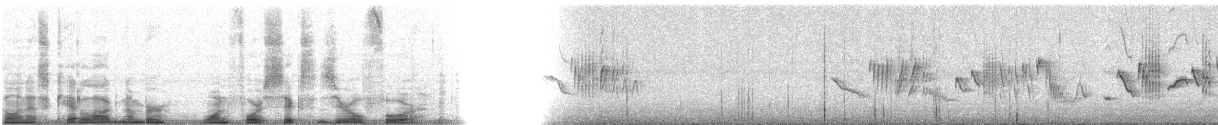 Spectacled Warbler - ML14604