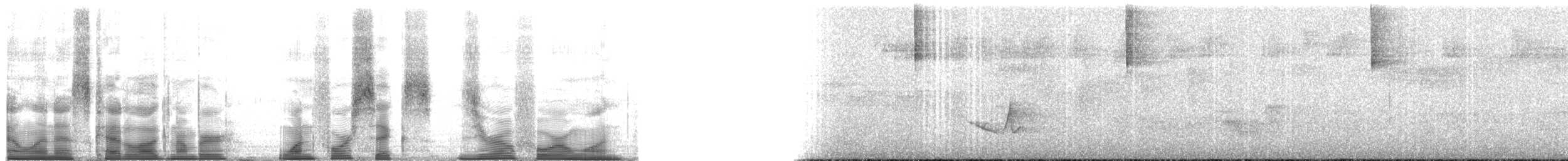 Чернокрылая пиранга - ML146041