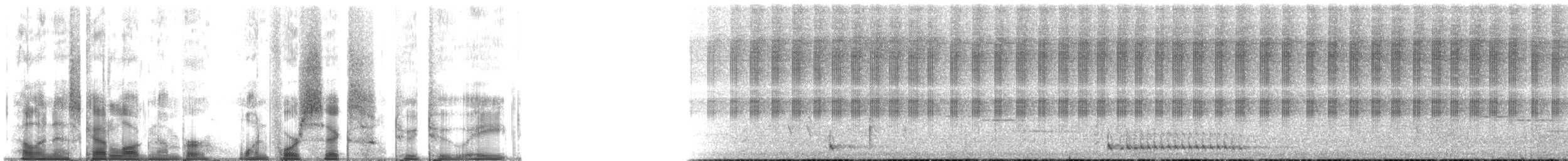 Barbu de Franklin - ML146228