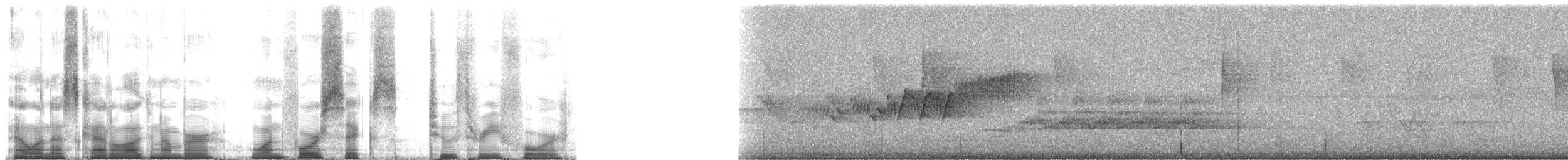 Cerulean Warbler - ML146234