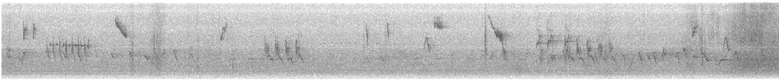 Юнко сірий (підвид cismontanus) - ML146327571