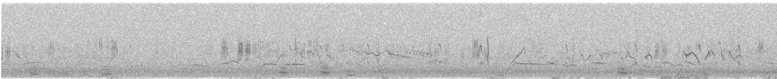 ニシイワツバメ（urbicum／meridionale） - ML146343071