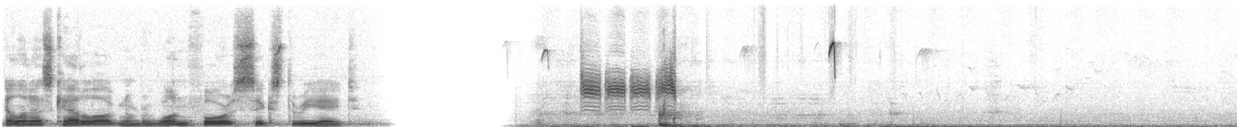 Carbonero Cabecinegro - ML14638