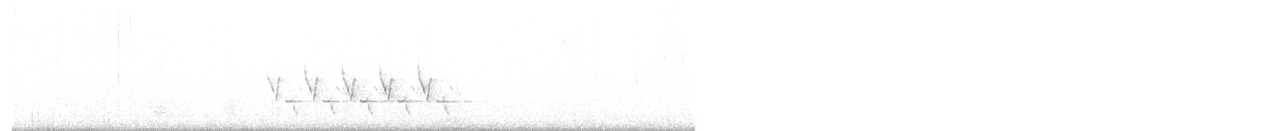 Каролинский крапивник - ML146402981