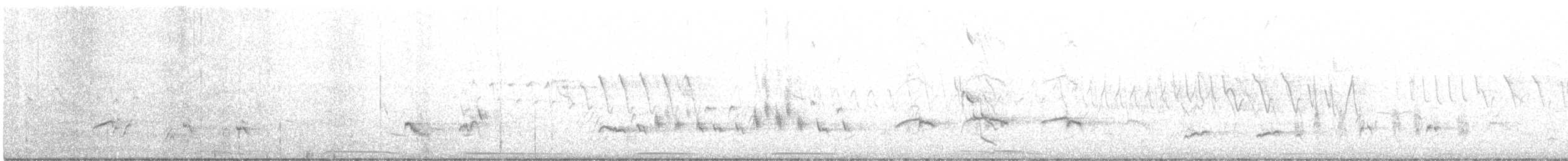 Rotsteiß-Spottdrossel - ML146436611