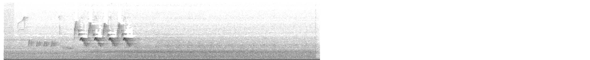 Bewick's Wren - ML146485161