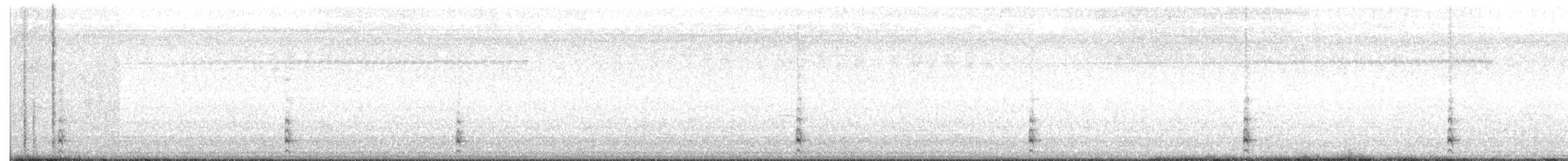 Common Gallinule (American) - ML146500791