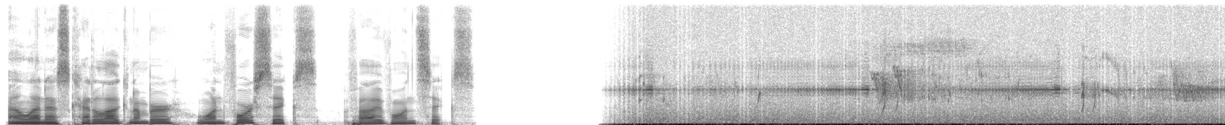 Olivscheitel-Breitschnabeltyrann (pallescens) - ML146516