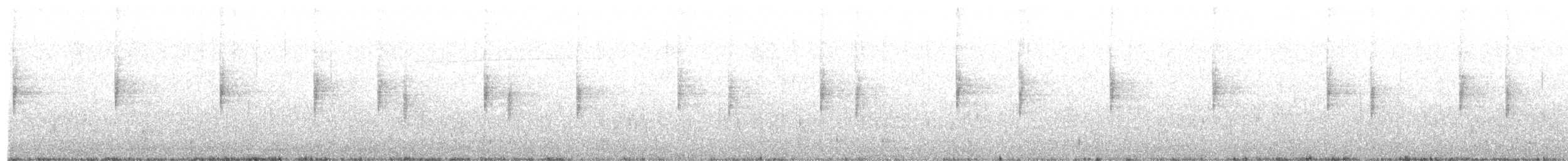 strømparula - ML146534931