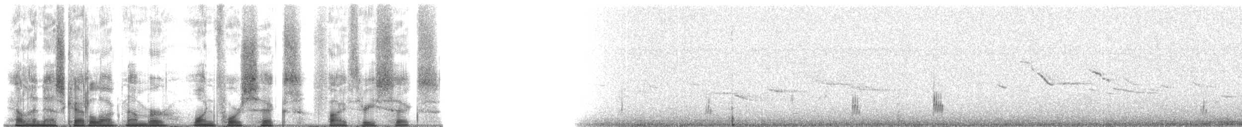 Snowy Plover (nivosus) - ML146536