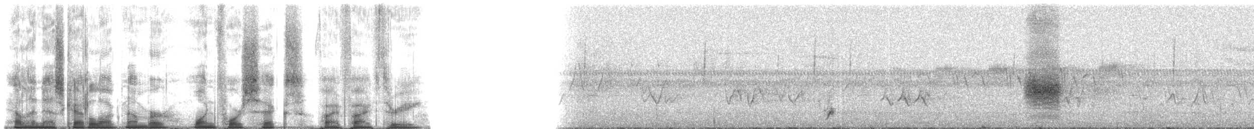 Ictérie polyglotte (virens) - ML146553