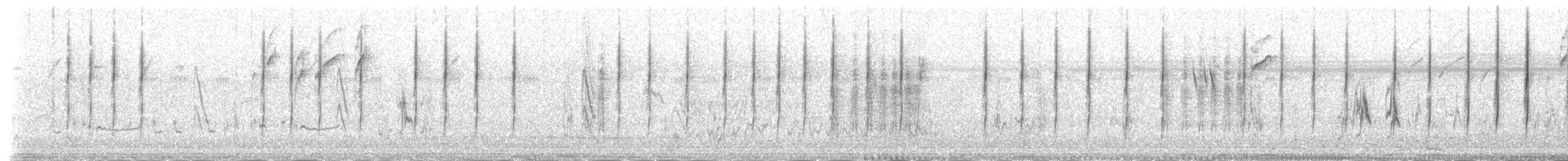 cistovník rákosníkový (ssp. terrestris/uropygialis) - ML146594501