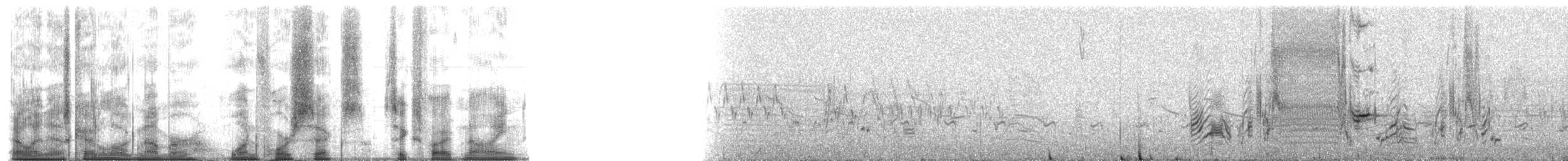 Strauchammertangare (fruticeti/peruviana) - ML146659