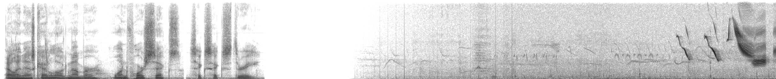 Long-tailed Meadowlark - ML146663