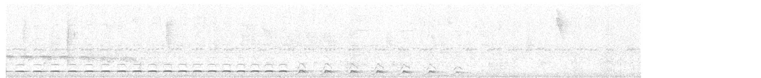 Streifenbrust-Ameisendrossel - ML146700621