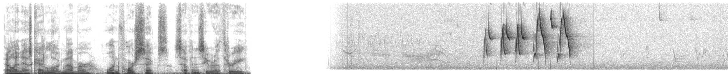 Cinnamon Warbling Finch - ML146703