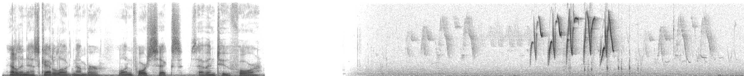 Свертушка білокрила - ML146724