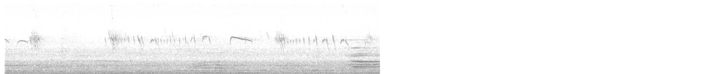 シロボシムジアマツバメ - ML146729491