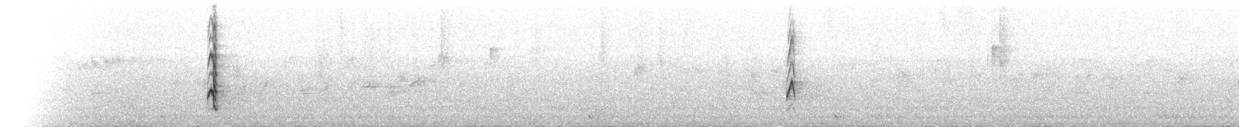 Black Bulbul - ML146759681