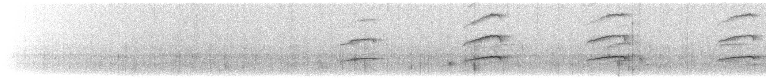 アシボソハイタカ（ventralis） - ML146761171