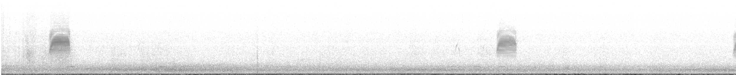 Chocha Americana - ML146783361