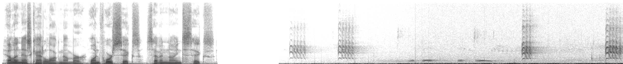 Carpintero Frentidorado (aurifrons) - ML146796