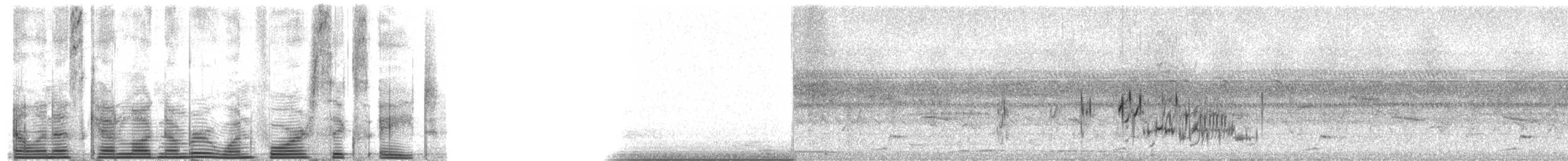 Hirondelle à ventre roux - ML1468