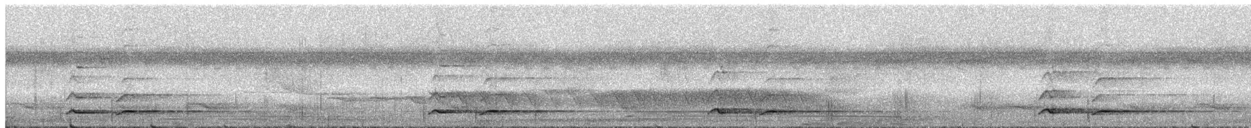 シロムネオオハシ（tucanus） - ML146813321