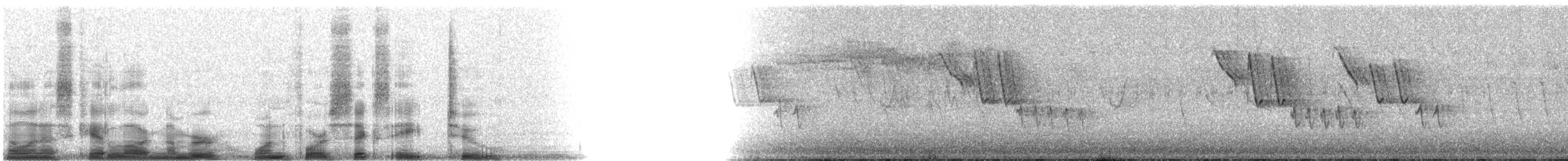 Eurasian Blue Tit - ML14682