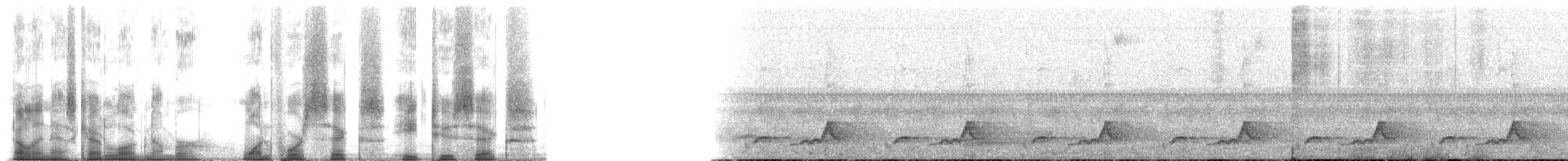 Schwarzkehl-Nachtschwalbe - ML146826
