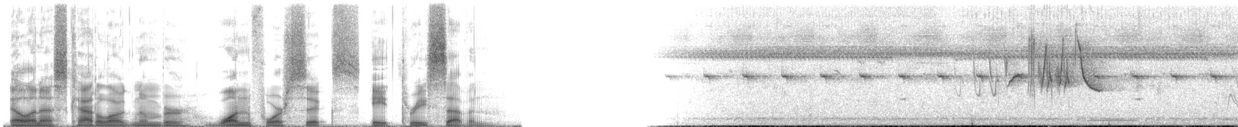 Gosling's Bunting - ML146837