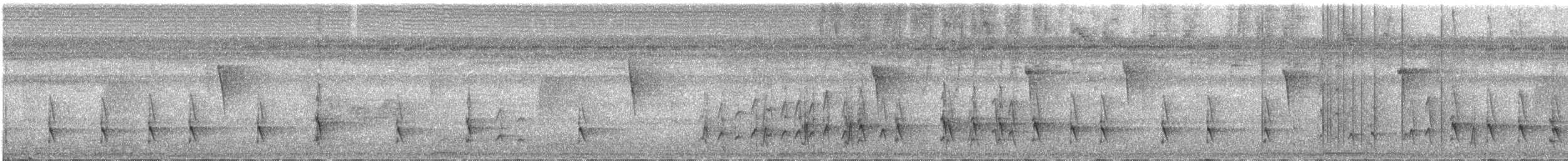 Grauschulter-Kappentyrann - ML146851831