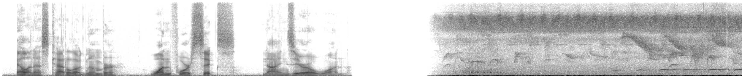 Schwarzschwanz-Lärmvogel - ML146901