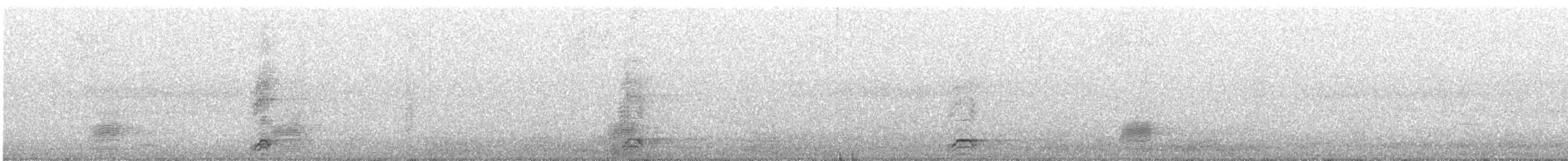 Black-crowned Night Heron - ML146904221