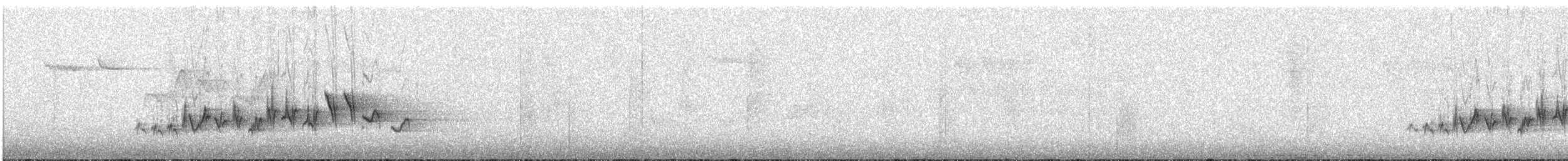 purpurfink - ML146906601