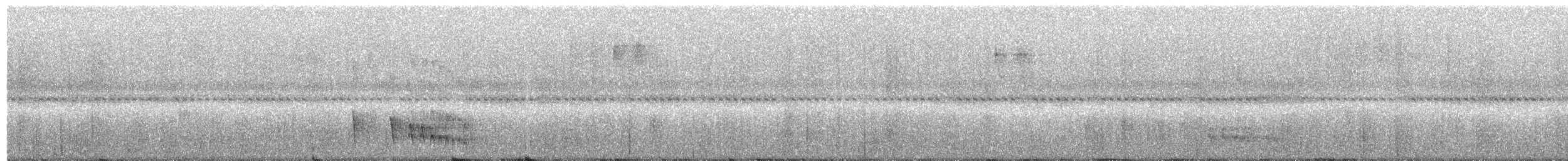 Todirostre roussâtre - ML146919891