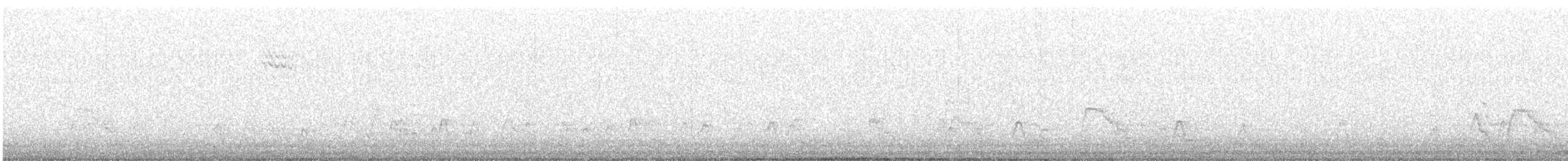 Canard siffleur - ML147052551