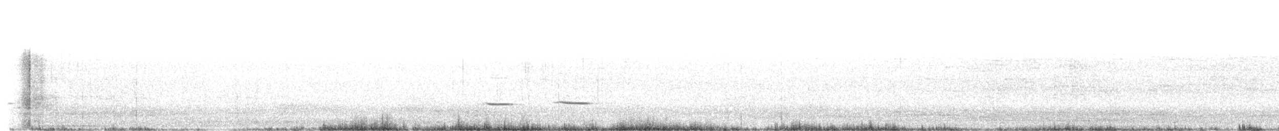Striped Cuckoo - ML147110711