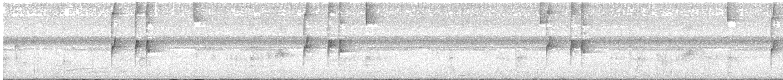 Мухолов-клинодзьоб узлісний - ML147125011