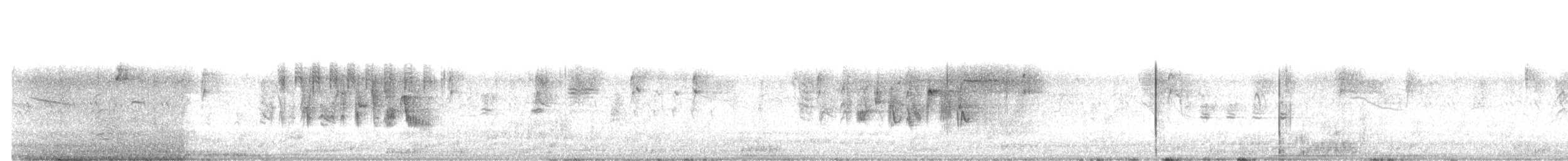 Braunaugenvireo (pusillus) - ML147166711