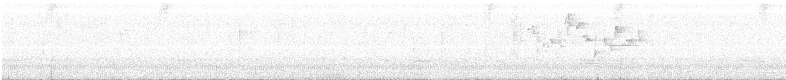 Black-cheeked Warbler - ML147182171