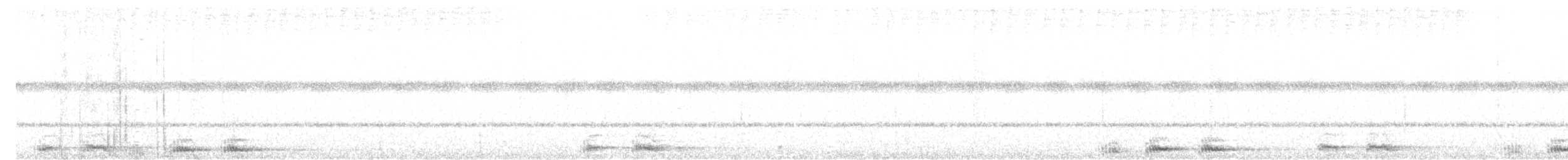Сова-голконіг острівна - ML147205351