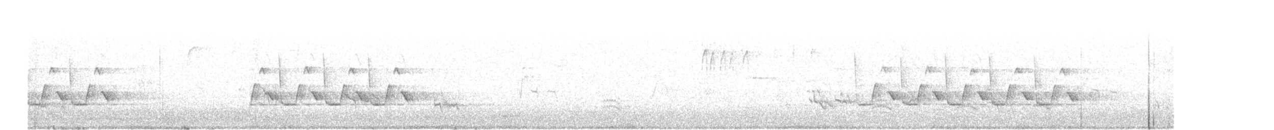Каролинский крапивник - ML147223711